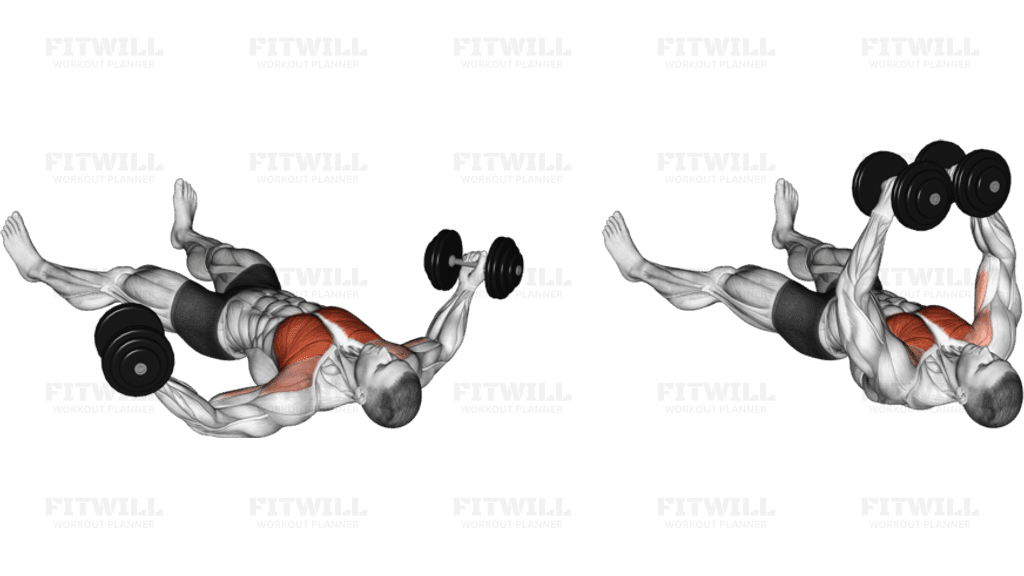 Dumbbell Floor Fly