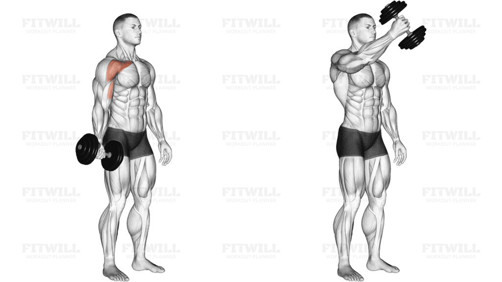 Dumbbell One Arm Low Fly (R)