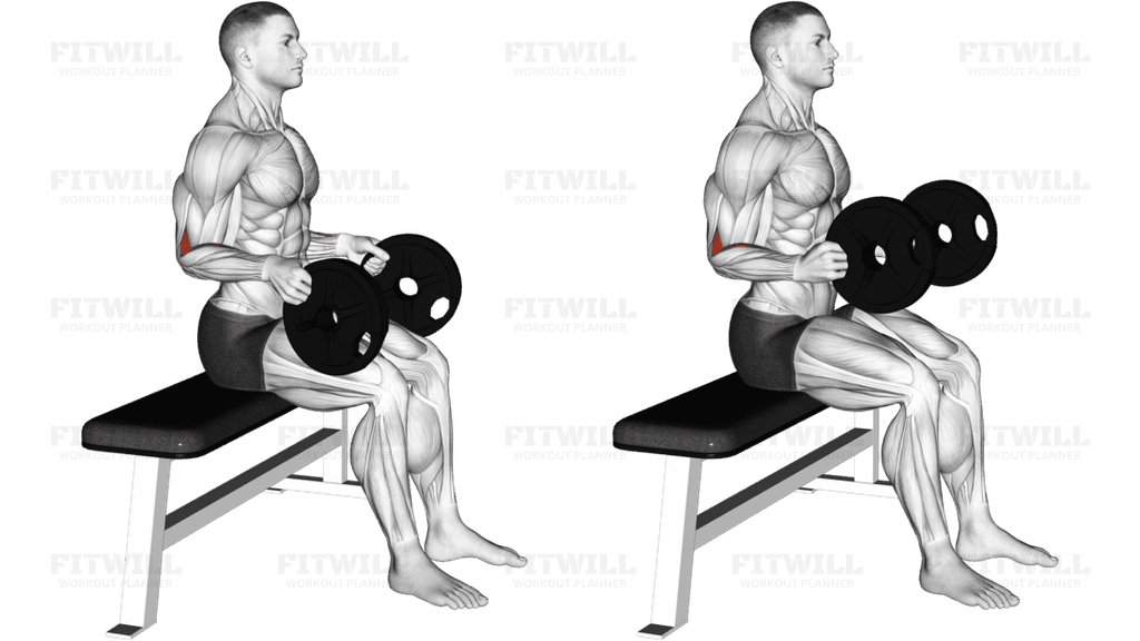 Weighted Seated Neutral Wrist Curl