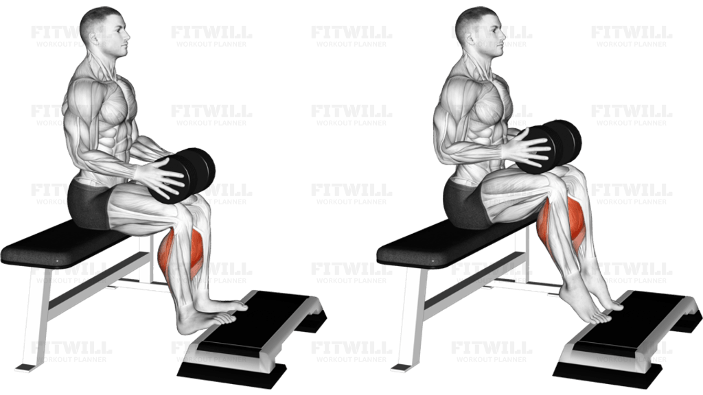 Weighted Seated Calf Raise