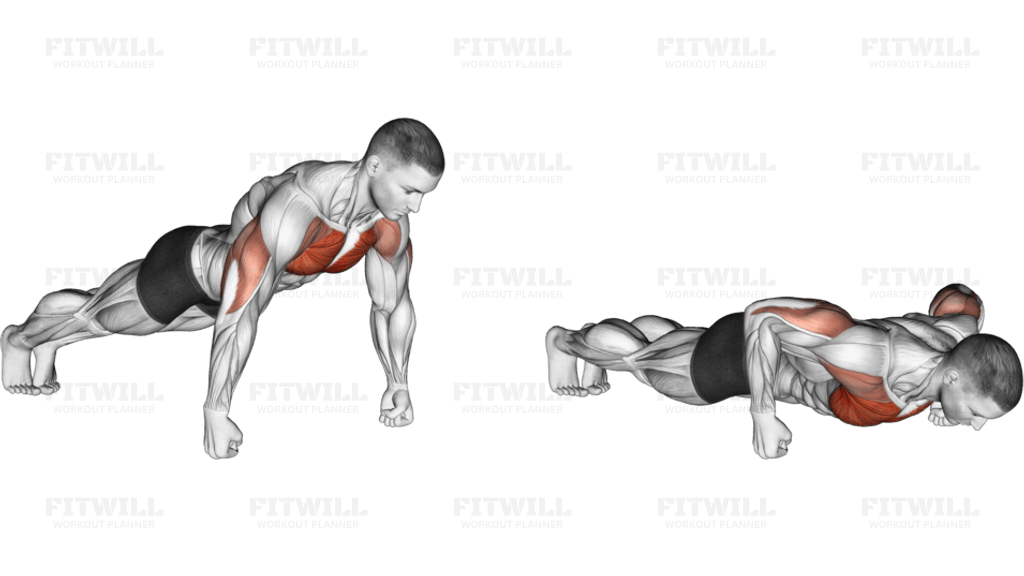 Knuckle Push-up