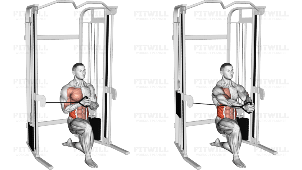 Cable Half Kneeling Pallof Press