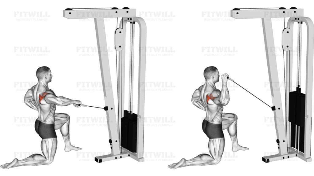 Cable Half Kneeling External Rotation