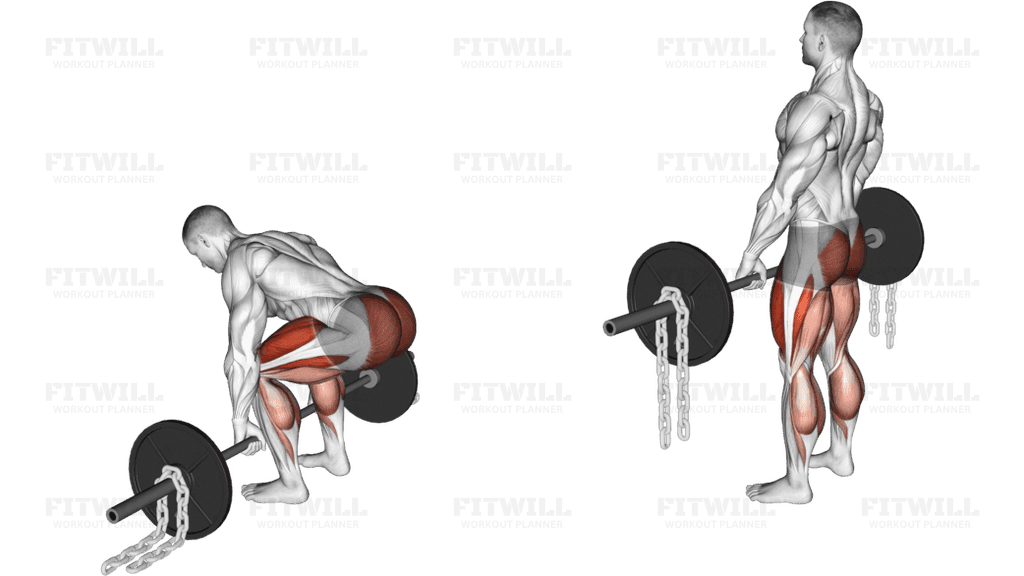 Barbell Deadlift against Chains