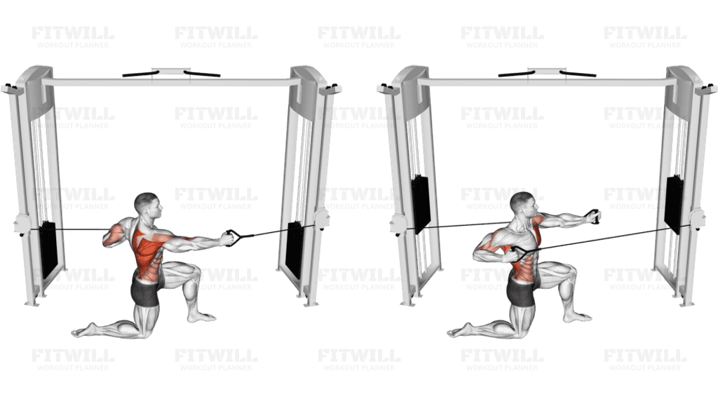 Cable Half Kneeling Push Pull