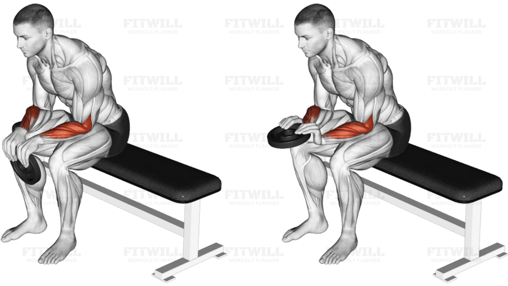 Weighted Seated Reverse Wrist Curl