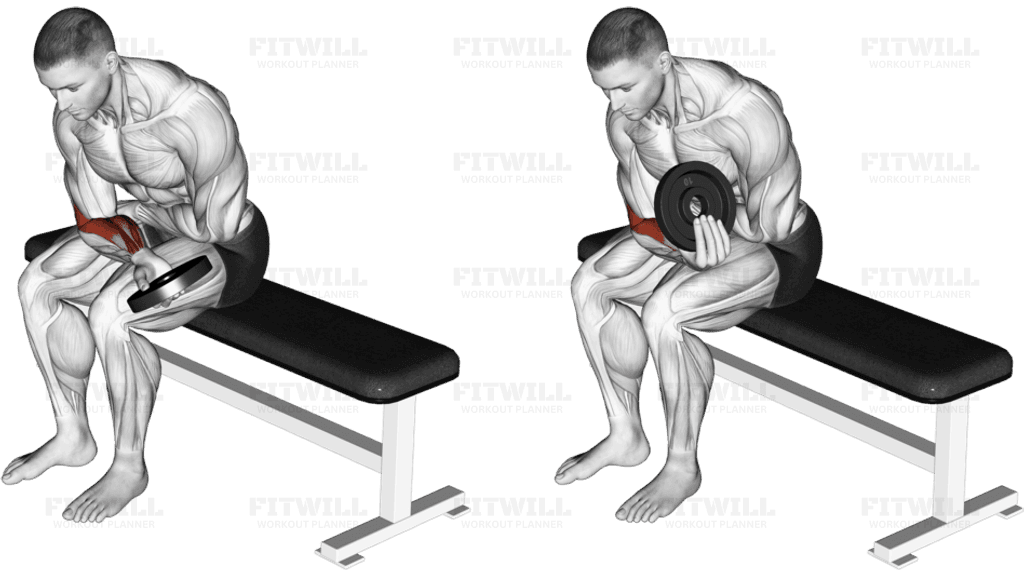 Weighted Seated One Arm Wrist Curl