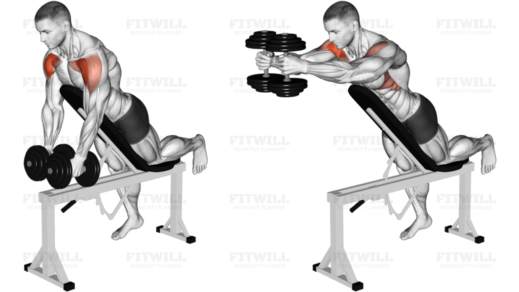 Dumbbell Incline Two Front Raise with Chest Support