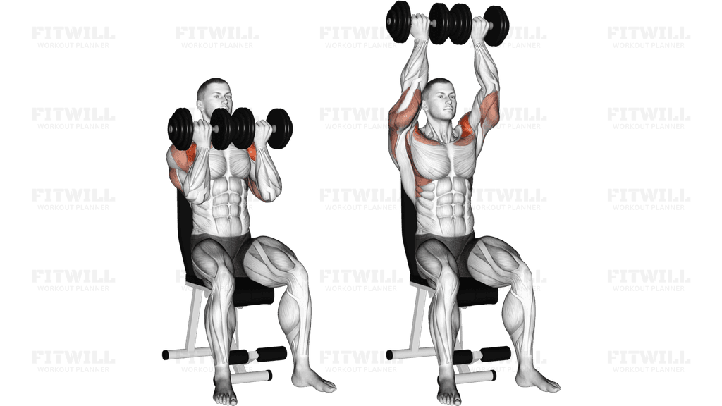 Dumbbell Seated Close Grip Press