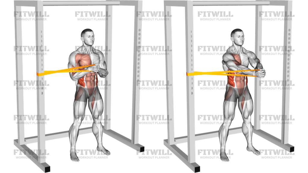 Resistance Band Horizontal Pallof Press