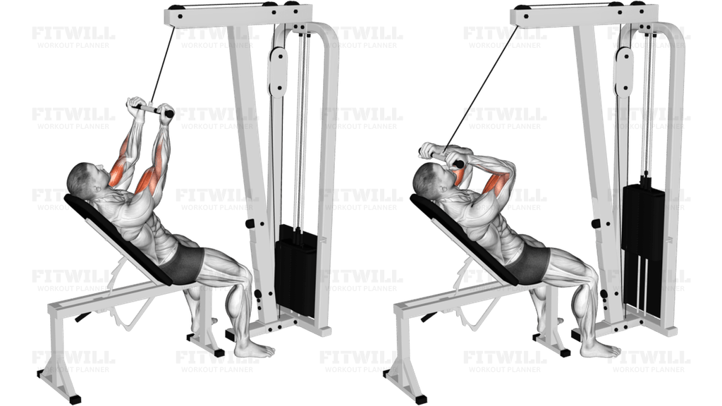 Cable Incline Close grip Curl