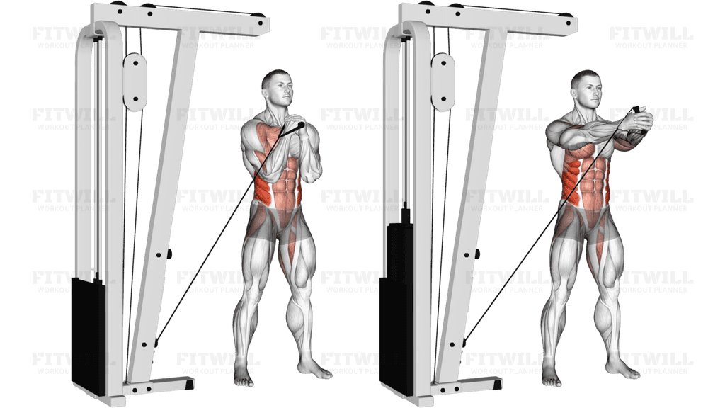 Cable horizontal Pallof Press (VERSION 2)