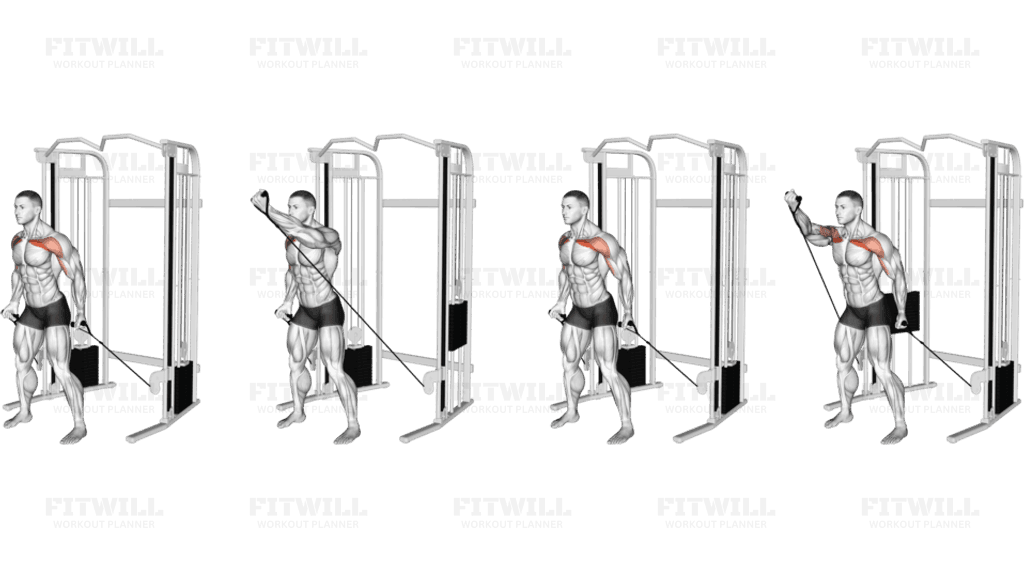 Cable Standing Alternate Low Fly