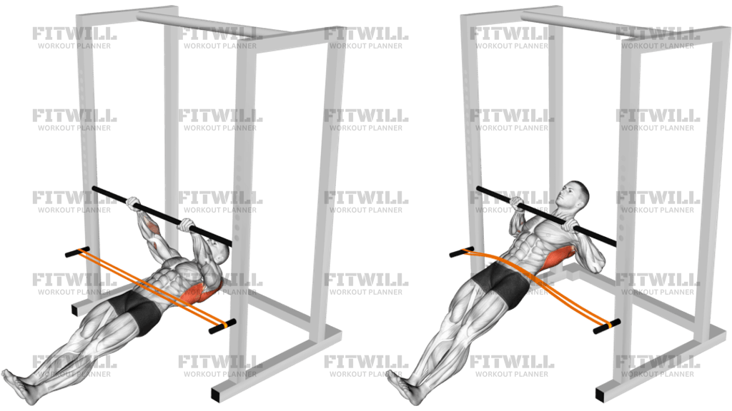 Resistance Band Inverted Row