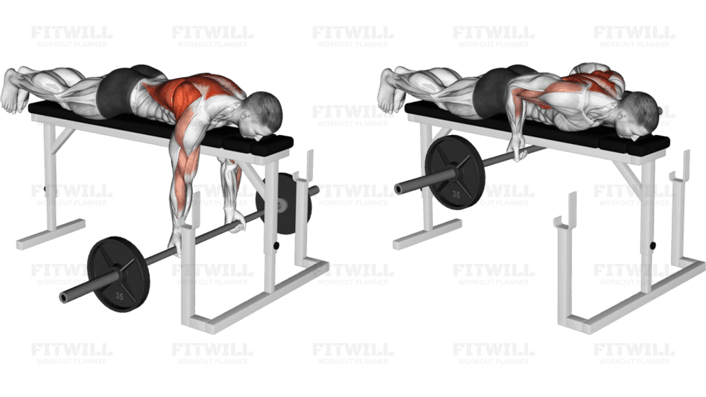 Barbell Lying Close-Grip Underhand Row on Rack