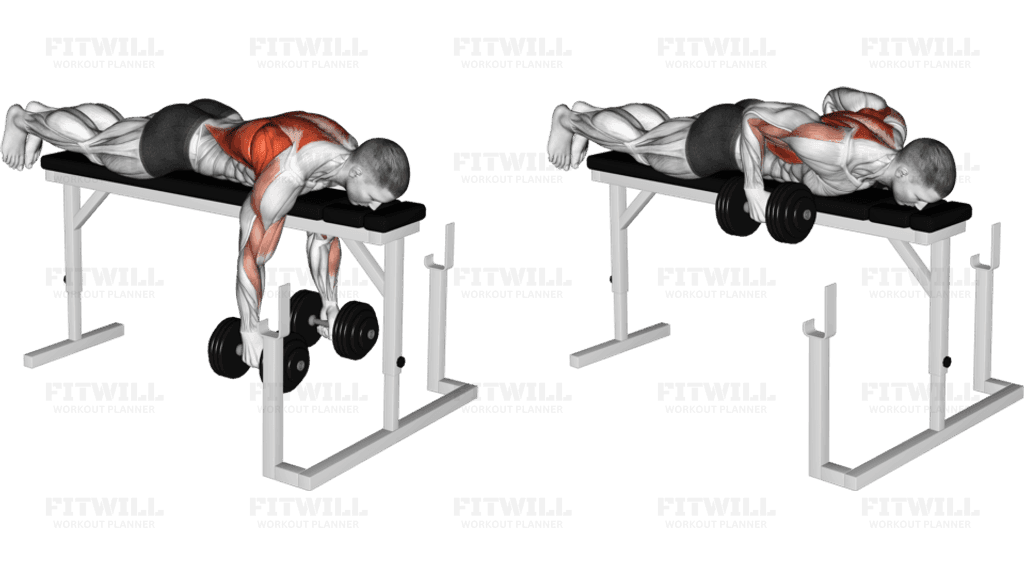 Dumbbell Lying Close-Grip Parallel Row on Rack