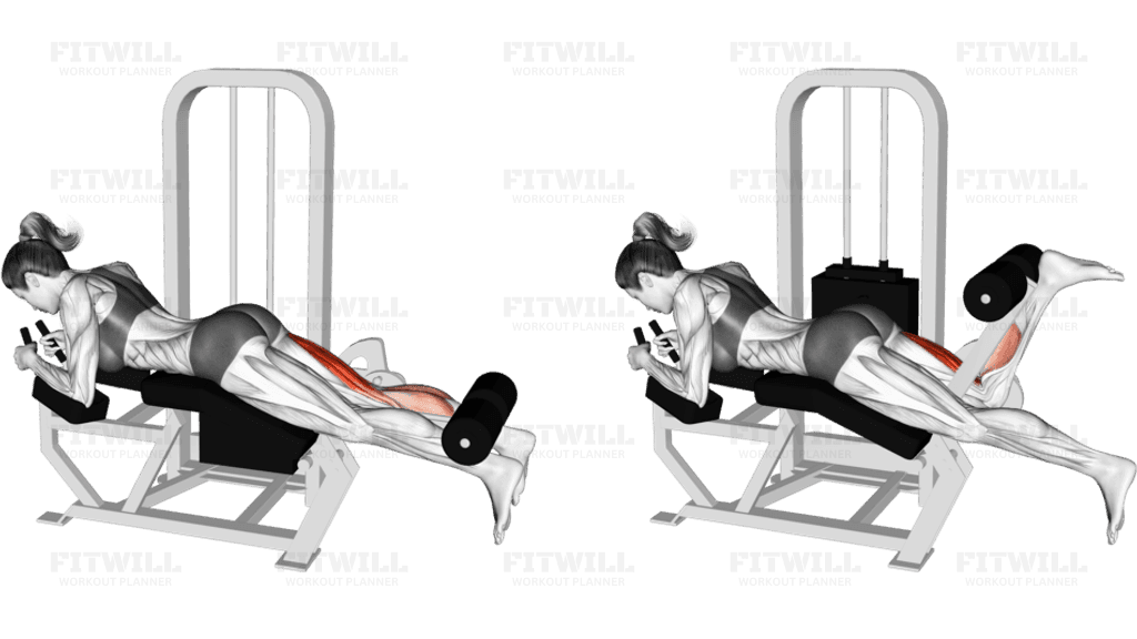 Lever Lying Single Leg Curl