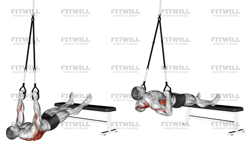 Suspender Wide Grip Inverted Row