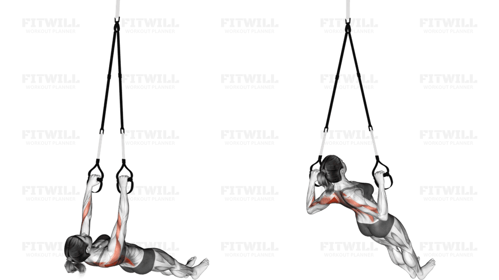 Suspender Wide Grip Inverted Row on floor