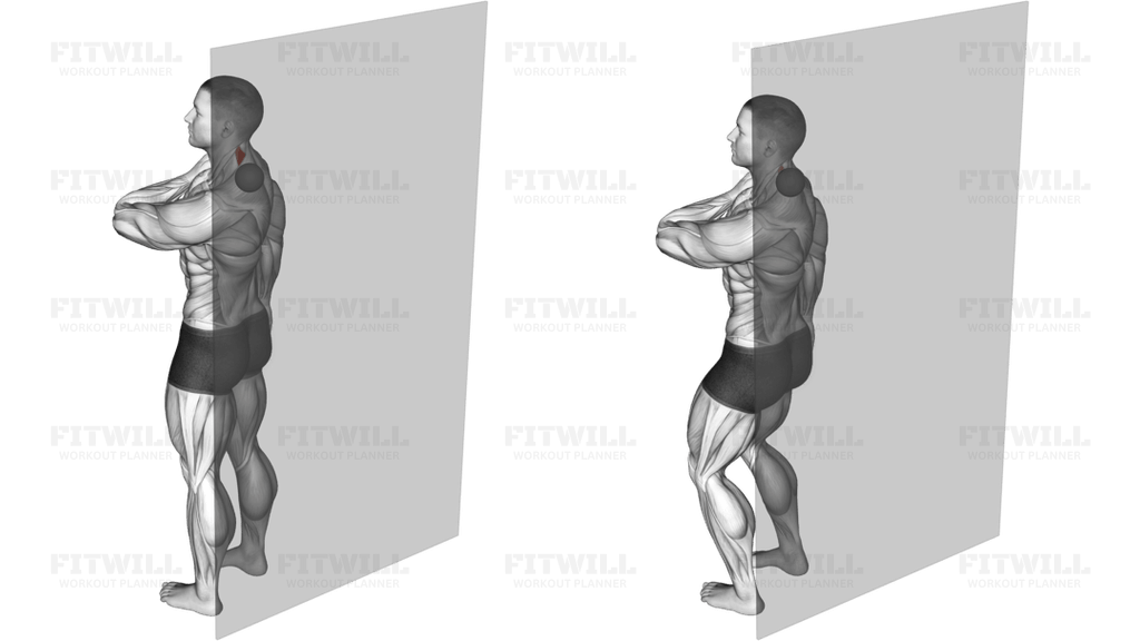 Roll Ball Scapula Levator (VERSION 2)