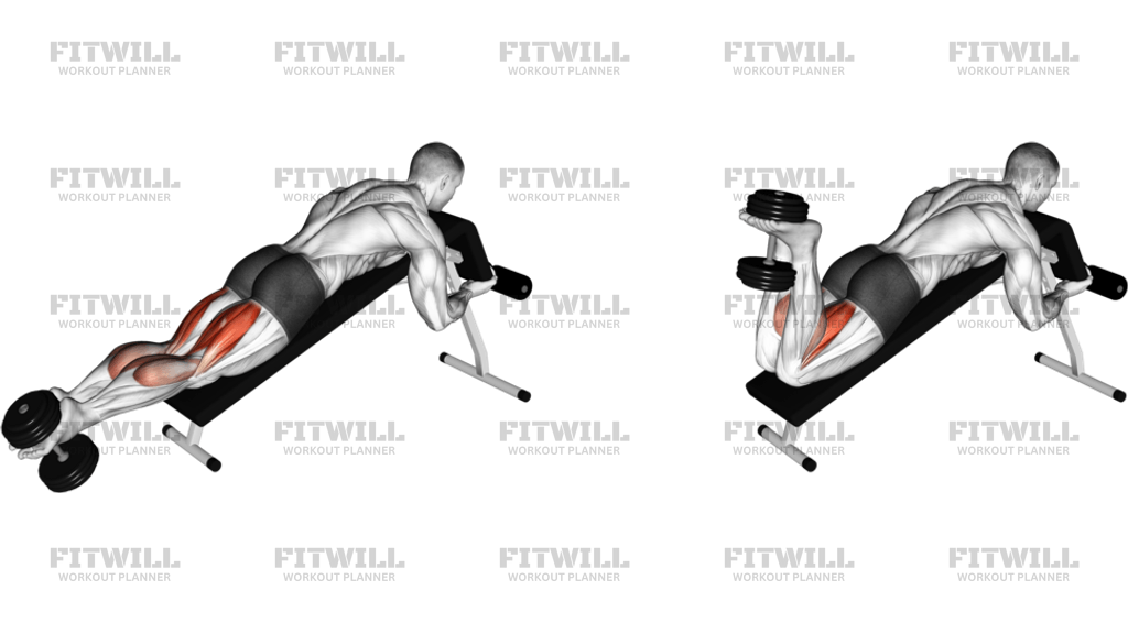 Dumbbell Decline Lying Leg Curl