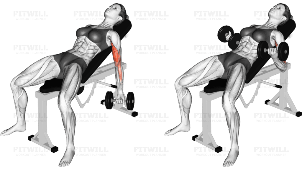 Dumbbell Incline Biceps Curl (VERSION 2)