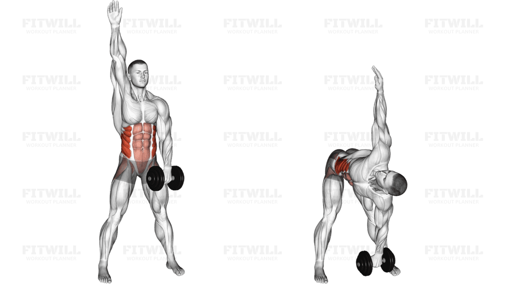 Dumbbell Low Windmill