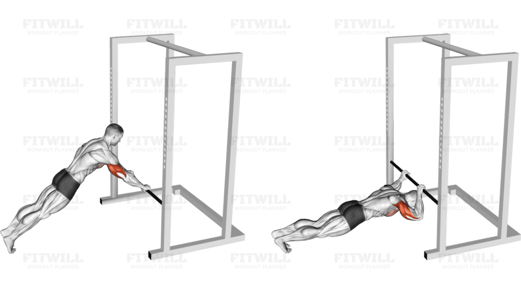 Triceps Press (low bar position)