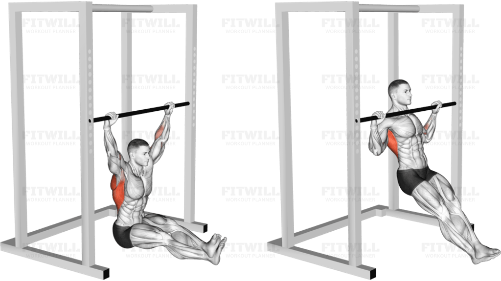 Wide Seated Pull-up