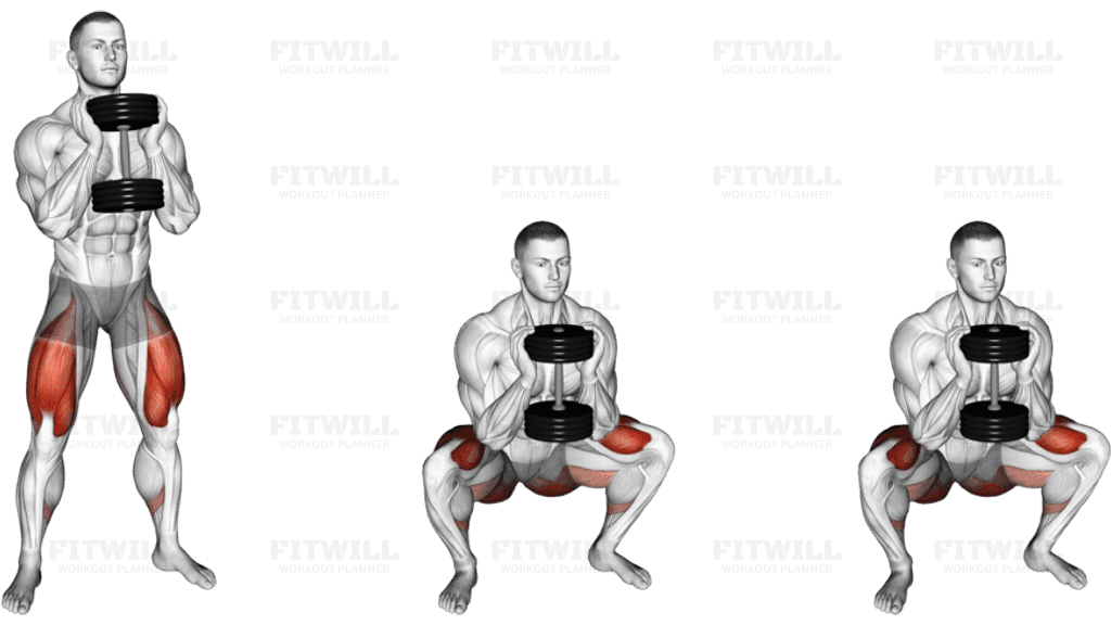 Dumbbell Goblet 2 sec Hold Squat