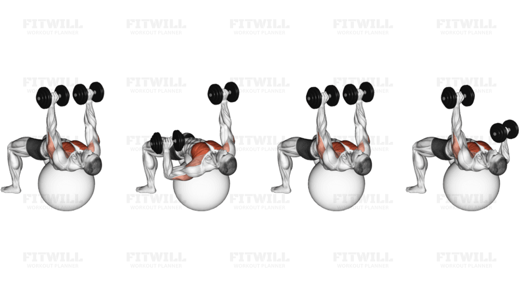 Dumbbell Alternate Chest Press on Stability Ball