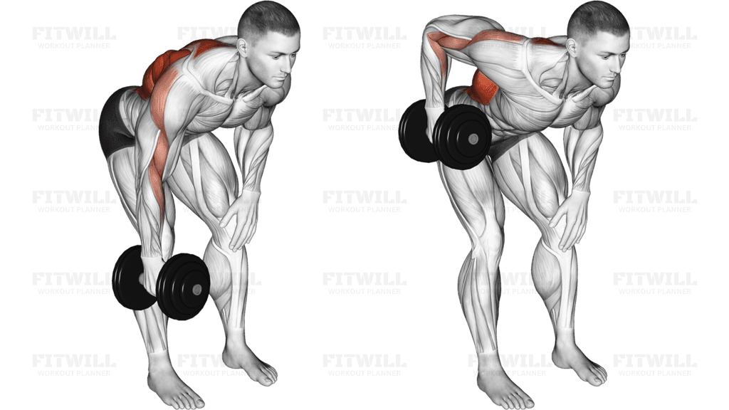 Dumbbell Single Arm Bent Over Row