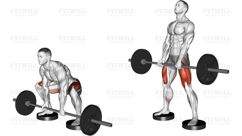 Barbell Sumo Deadlift from Deficit