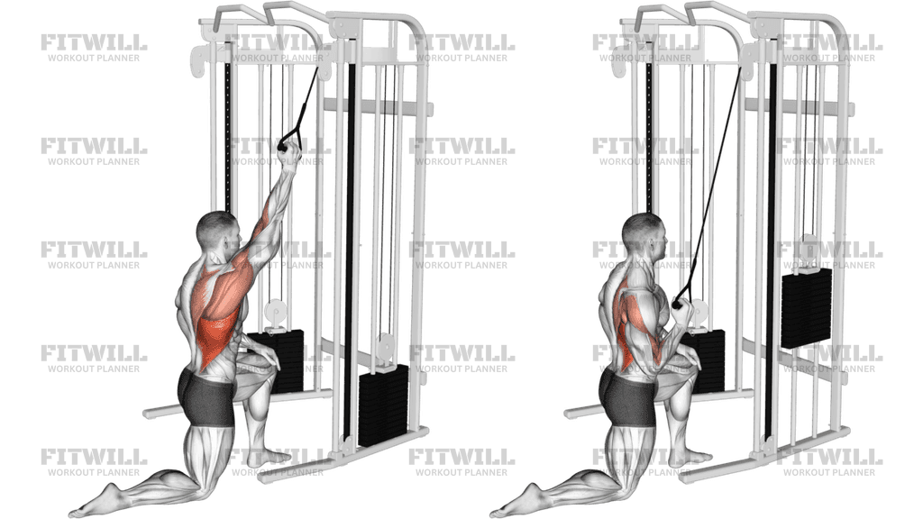 How to do Cable Kneeling One Arm Lat Pulldown: Techniques, Benefits ...