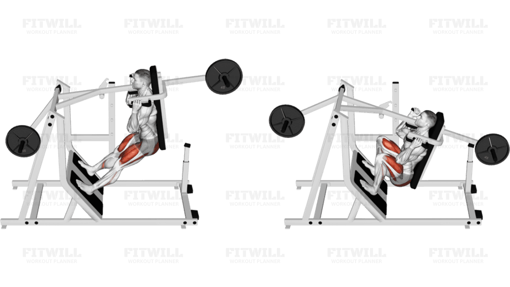 Lever Pendulum Squat (plate loaded)