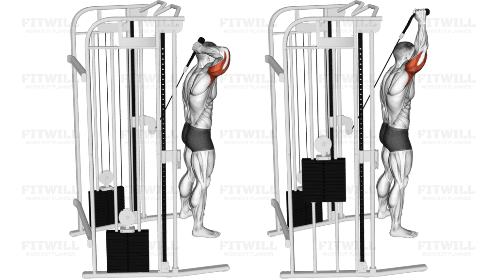 Cable Overhead Single Arm Triceps Extension (rope attachment)