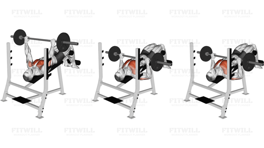 Barbell Pause Decline Bench Press