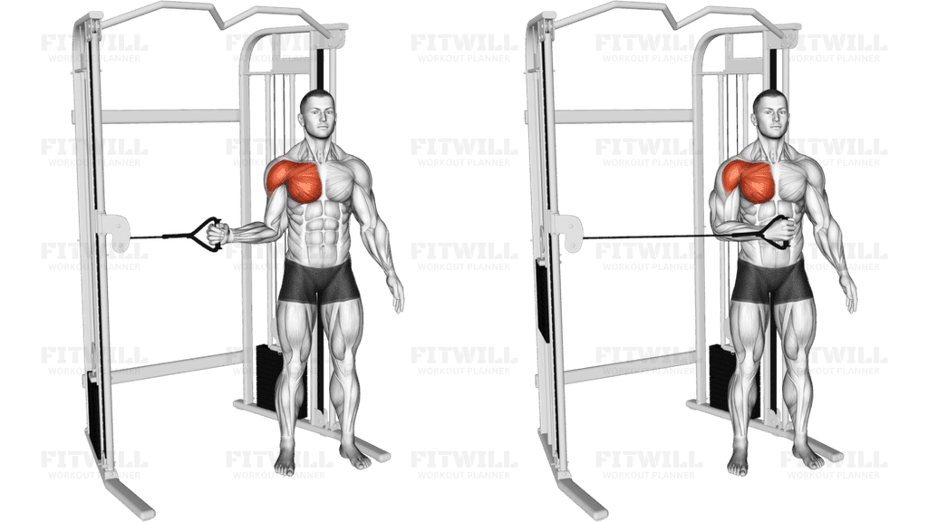 Cable Shoulder Internal Rotation