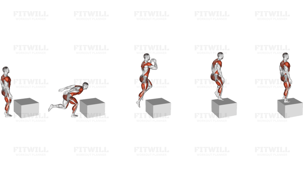 Single Leg Box Jump