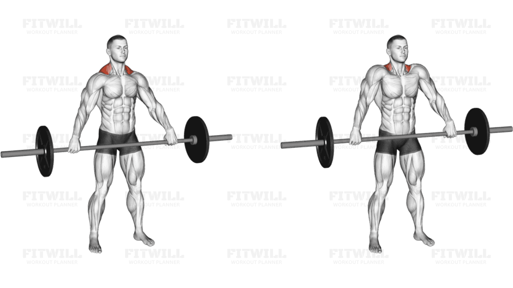 Barbell Wide Shrug