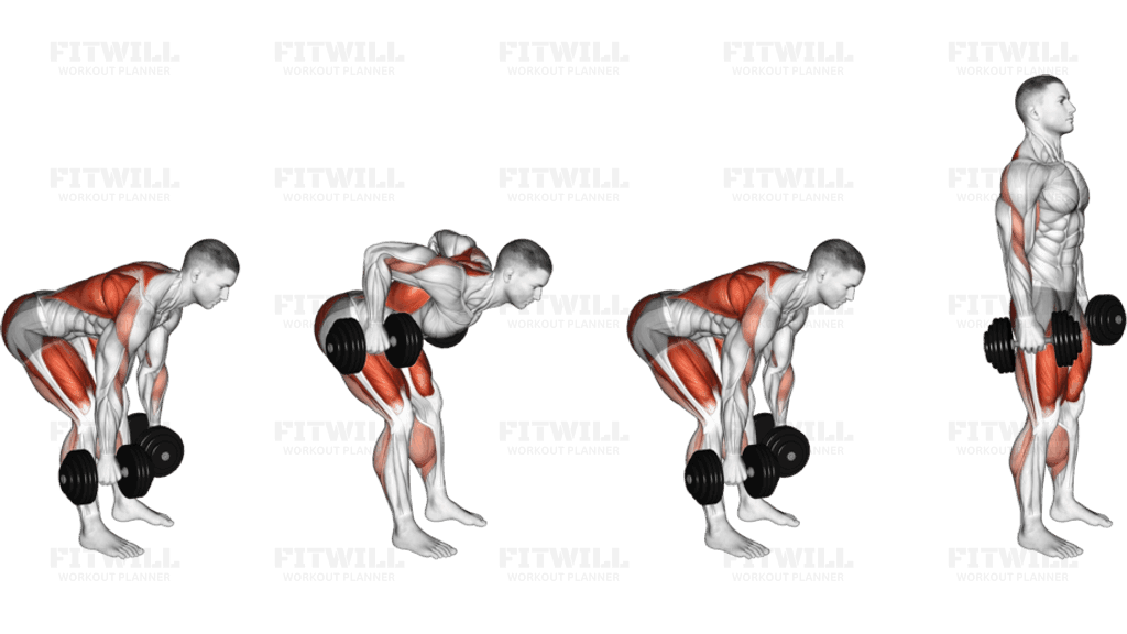 Dumbbell Deadlift Bent over Row