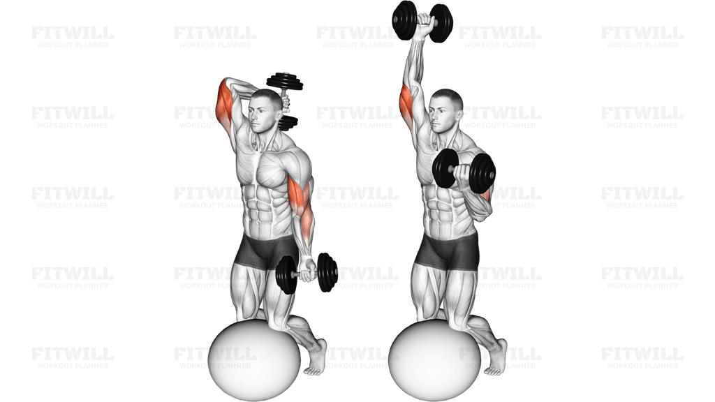 Dumbbell Biceps Curl with Overhead Extension on Stability Ball