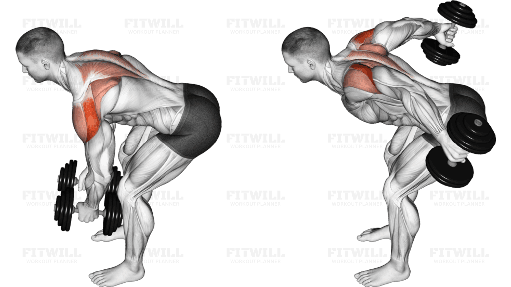 Dumbbell Rear Delt Fly (45 degrees)