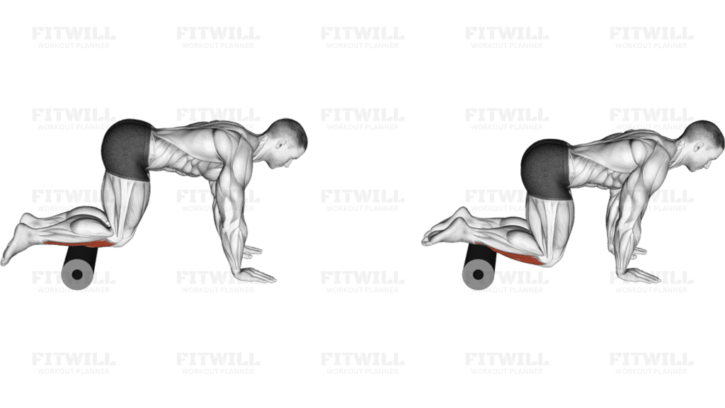 Roll Tibialis Anterior