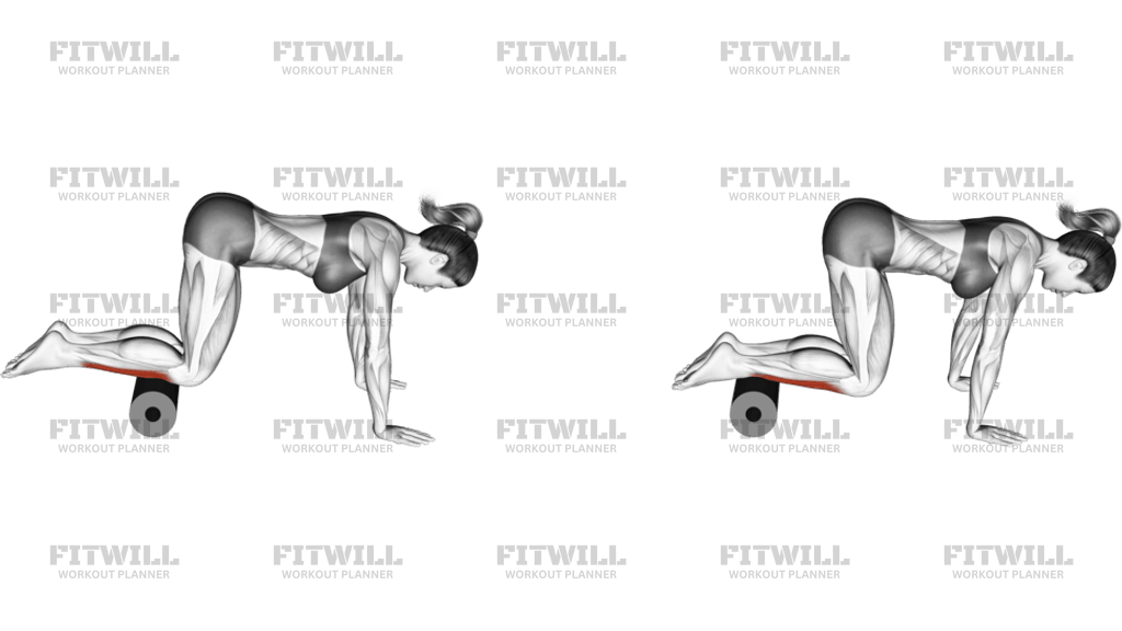 Roll Tibialis Anterior