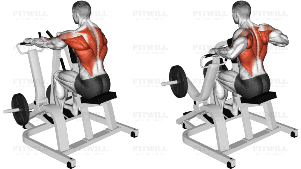 Lever Pronated Grip Seated Row (plate loaded)