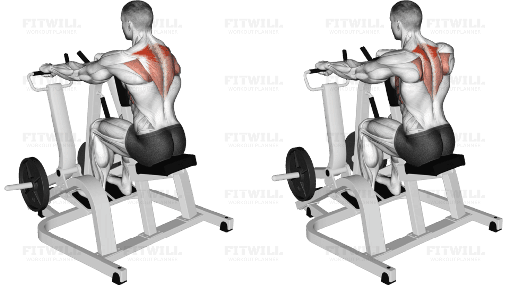 Lever Pronated Grip Seated Scapular Retraction Shrug (plate loaded)