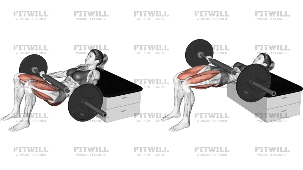 Barbell KAS Glute Bridge