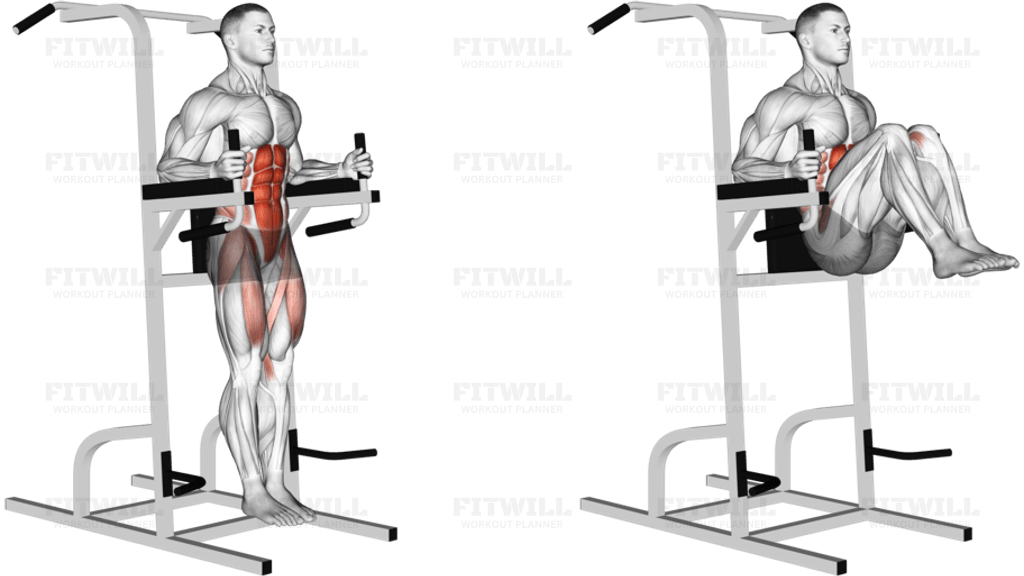 Vertical Leg Raise (on parallel bars)