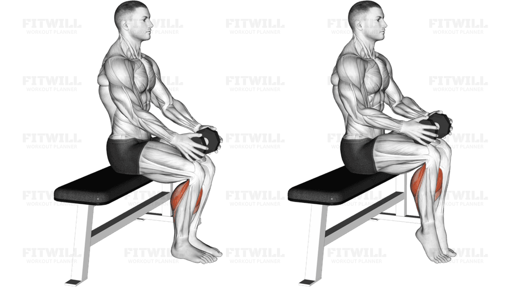 Weighted Seated Calf Raise (VERSION 2)